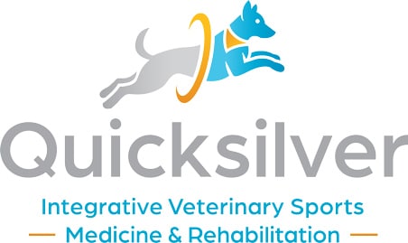 Logo for Quicksilver Integrative Veterinary Sports Medicine & Rehabilitation, featuring a blue dog jumping through a gold ring above the company name.